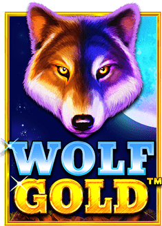 บาคาร่าสล็อตออนไลน์ ที่มือใหม่ต้องลองเล่นสักครั้ง